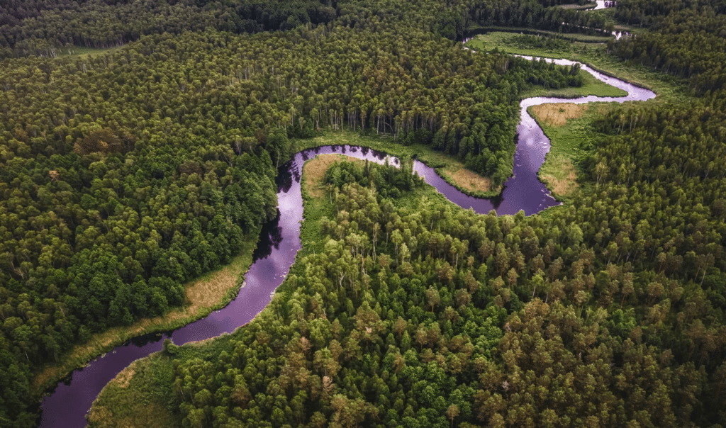 Baidarių slėnis